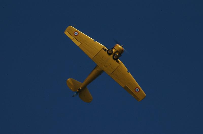 DSC_3874.jpg
