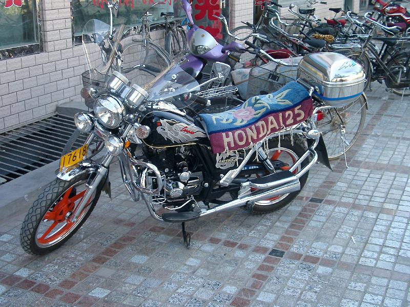 IMGP1690.jpg