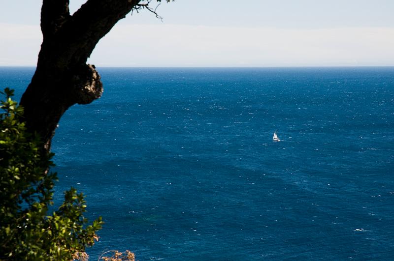 DSC_1143.jpg