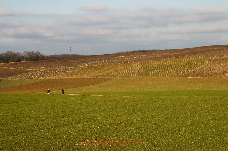 DSC_0273_263.jpg