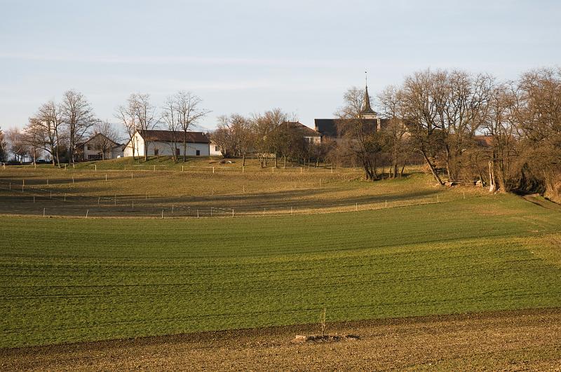 DSC_0462.jpg