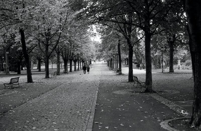 0003-016.jpg