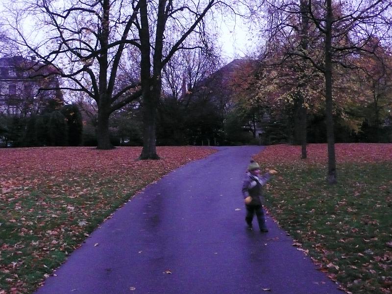 P1020974.jpg