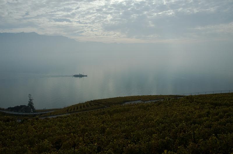 DSC_0418.jpg