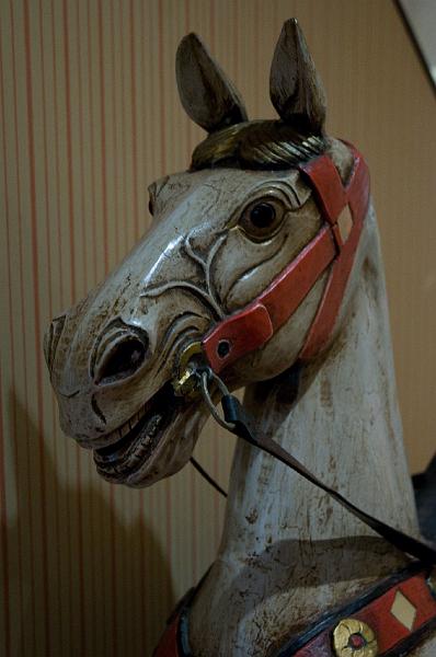 DSC_2585.jpg