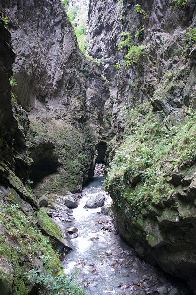 DSC_2628.jpg