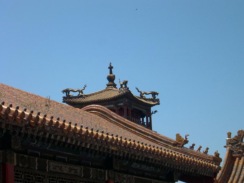 IMGP1054.jpg