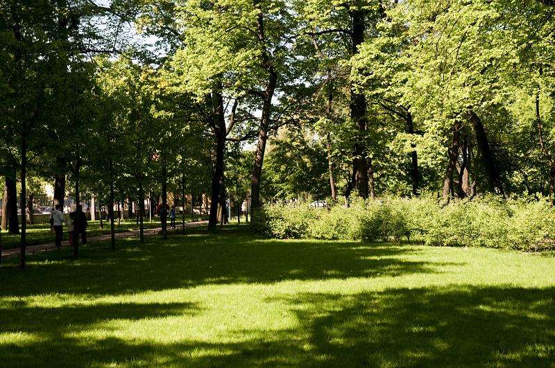 DSC_1806.jpg