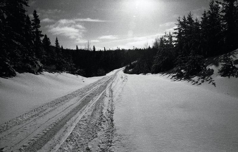 3693-017.jpg