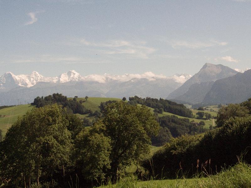 CRW_6925.jpg